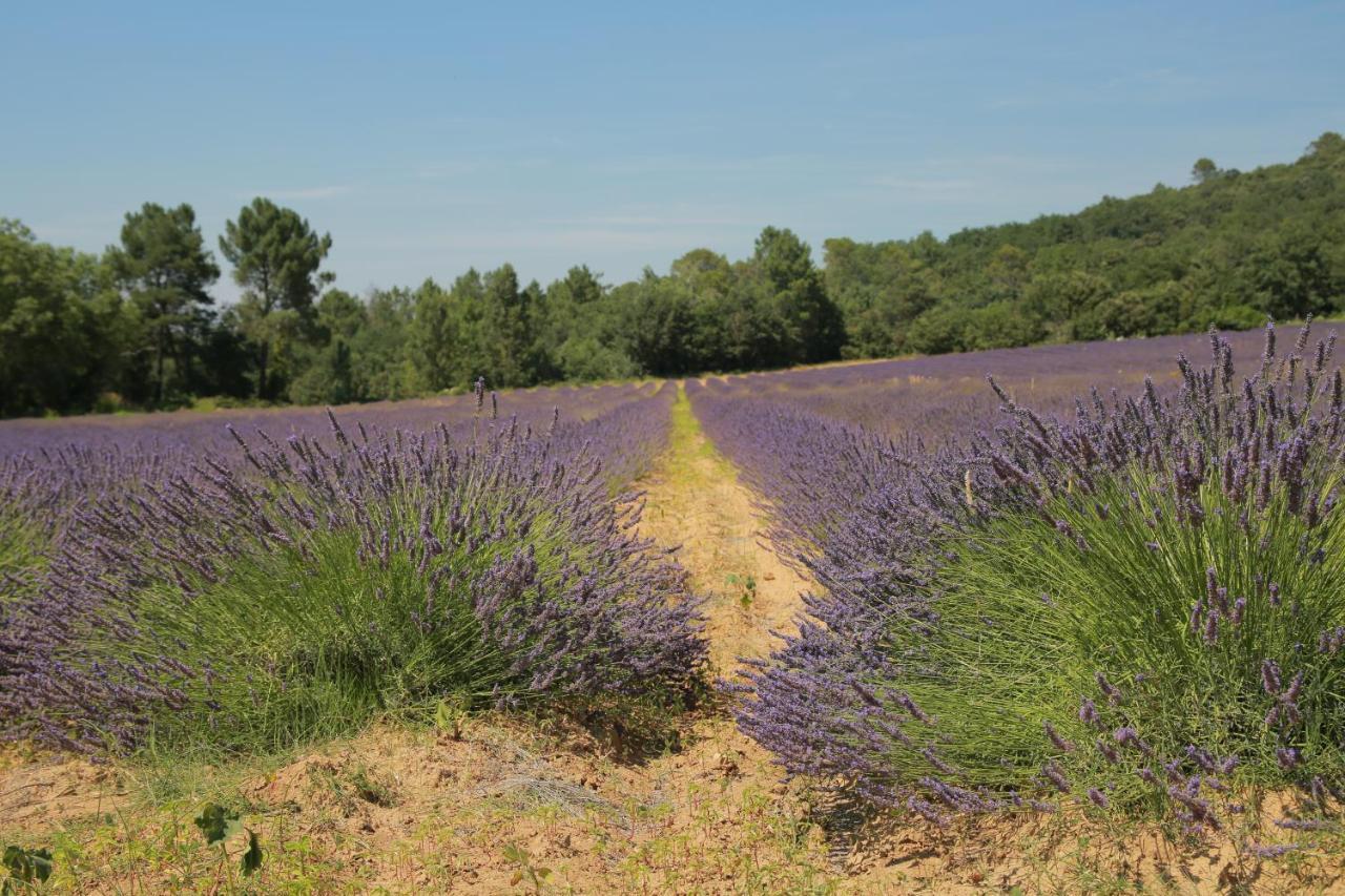 Les Yourtes De Provence Saint-Paulet-de-Caisson Εξωτερικό φωτογραφία
